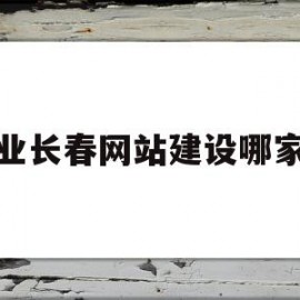 专业长春网站建设哪家好(长春网站制作系统)