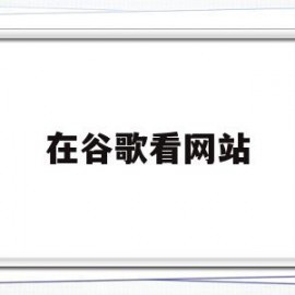 在谷歌看网站(在谷歌看网站的软件)