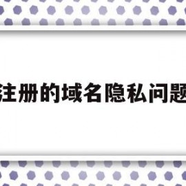 注册的域名隐私问题(全方位域名隐私及保护)