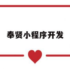 奉贤小程序开发(上海小程序开发公司排名)