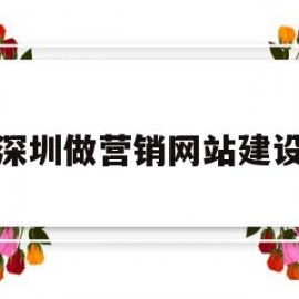 深圳做营销网站建设(深圳网络营销网站设计)