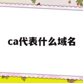 ca代表什么域名(域名co是什么意思)
