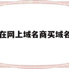 在网上域名商买域名(在网上域名商买域名可靠吗)