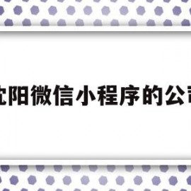 沈阳微信小程序的公司(沈阳盛京医院微信小程序)