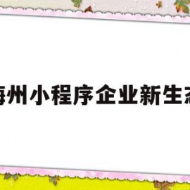 包含梅州小程序企业新生态的词条