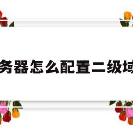 服务器怎么配置二级域名(服务器怎么配置二级域名的)