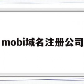 关于mobi域名注册公司的信息