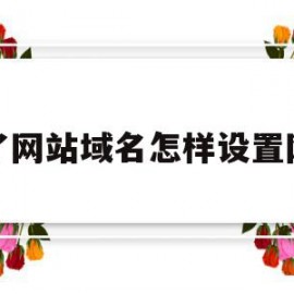 有了网站域名怎样设置网站(有了网站域名怎样设置网站权限)