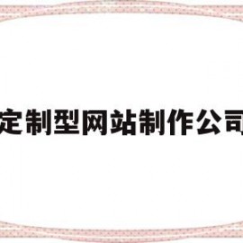 定制型网站制作公司(定制网站制作哪家专业)