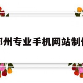 郑州专业手机网站制作(专业郑州制作网站公司)