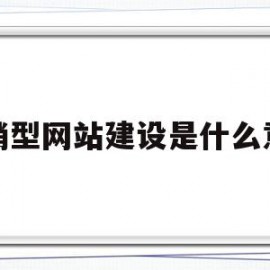 营销型网站建设是什么意思(什么叫营销型网站)
