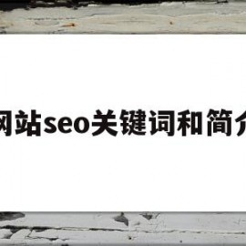 网站seo关键词和简介(seo网页关键字)