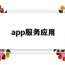 app服务应用(应用服务软件)