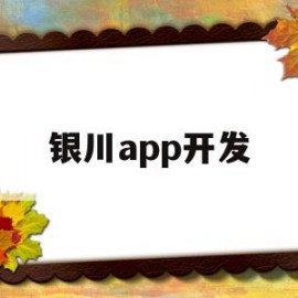 银川app开发(银川软件开发招聘)