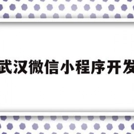 武汉微信小程序开发(在武汉做一个小程序多少钱)