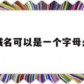 域名可以是一个字母么(域名可以是汉字吗)