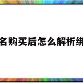 域名购买后怎么解析绑定(购买域名后如何进行域名解析)