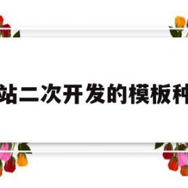 网站二次开发的模板种类(网站二次开发的模板种类有)
