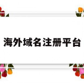 海外域名注册平台(海外域名注册平台有哪些)