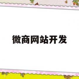 微商网站开发(微商城开发平台)