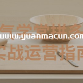 牛气学堂拼多多实战运营指南