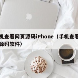 手机查看网页源码iPhone（手机查看网页源码软件）