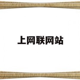 上网联网站(上网连接方式有哪些)