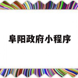 阜阳政府小程序(阜阳政府服务官网)