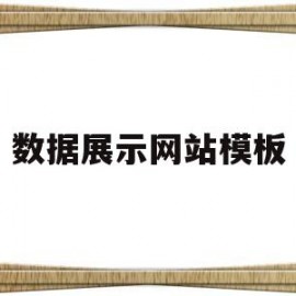 数据展示网站模板(数据展示软件介绍)
