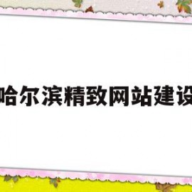 哈尔滨精致网站建设(哈尔滨网站建设哪儿好薇)