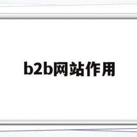 b2b网站作用(b2b网站的功能)