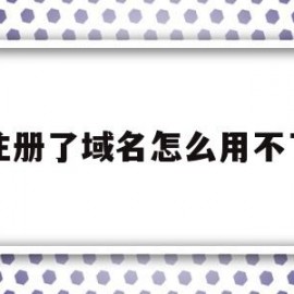 注册了域名怎么用不了(注册了域名怎么用不了微信)