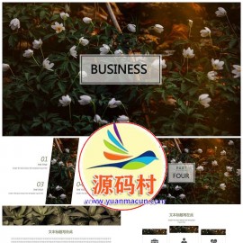 静态绿色系欧美风清新通用PPT模板下载