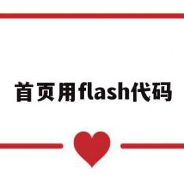 首页用flash代码(flash打开代码窗口的方法)