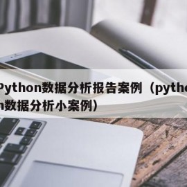 Python数据分析报告案例（python数据分析小案例）