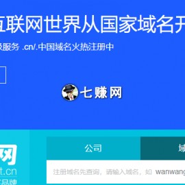 武汉域名投资(武汉域名投资公司招聘)