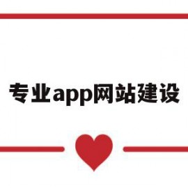 专业app网站建设(app网站建设哪家好)