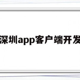 深圳app客户端开发(深圳app开发公司渠道招商)