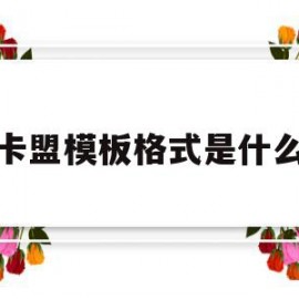关于卡盟模板格式是什么的信息