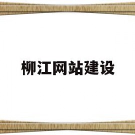 柳江网站建设(柳江政府采购网)