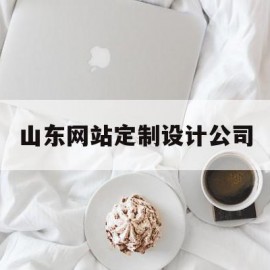 山东网站定制设计公司(山东网站制作定制)