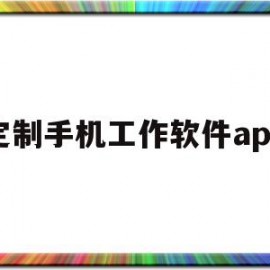 包含定制手机工作软件app的词条