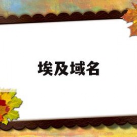 埃及域名(埃及域名注册量)