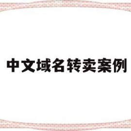 中文域名转卖案例(中文域名转让一般什么价格)