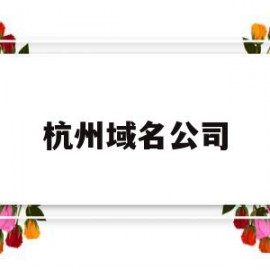 杭州域名公司(域名注册服务公司)