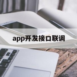 app开发接口联调(app接口开发框架)