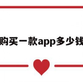 购买一款app多少钱(购买一款app多少钱啊)