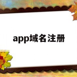 app域名注册(app域名注册价格)
