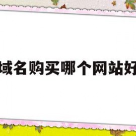 域名购买哪个网站好(域名购买哪个网站好用)
