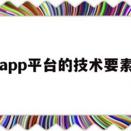 app平台的技术要素(app平台开发与运营所需的资源和团队)